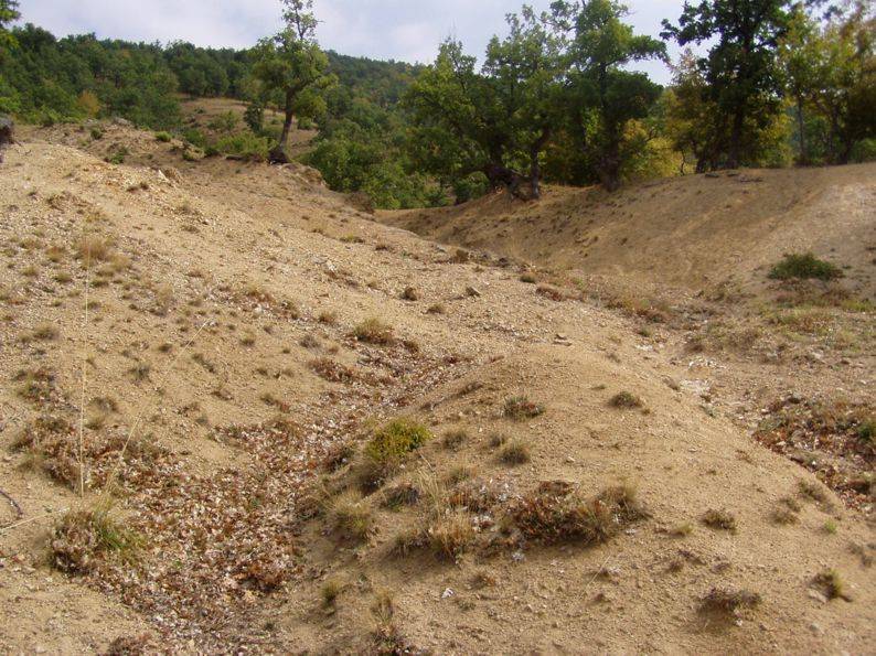 Svah postižený intenzívní kozí pastvou