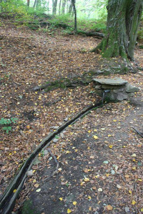 Studánka - lokalita E. coli :)