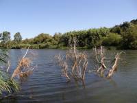 Lago di Viddalba, Sardinie