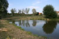 Obecní rybník